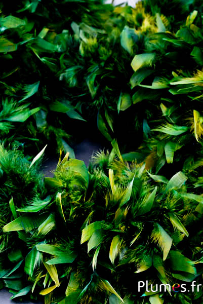 Boa piume di gallo - 4 pieghe, 2 m - kaki